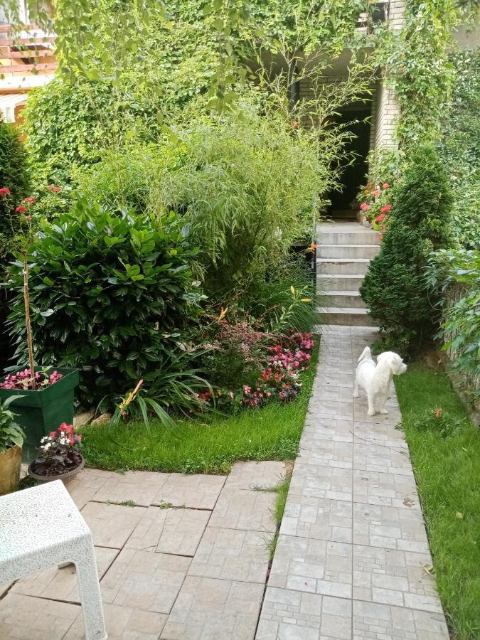 Dusica Apartmani Jagodina Buitenkant foto