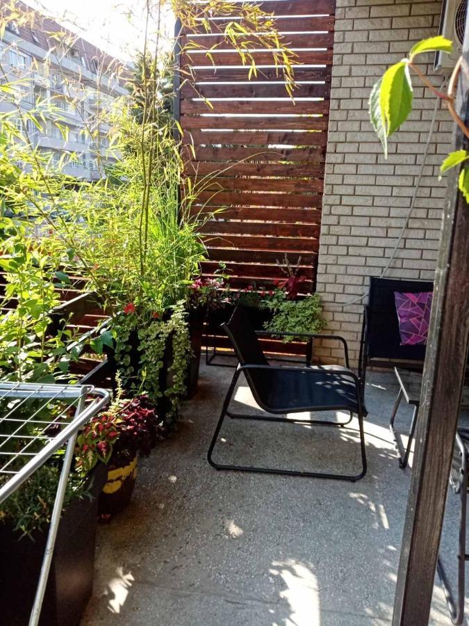 Dusica Apartmani Jagodina Buitenkant foto