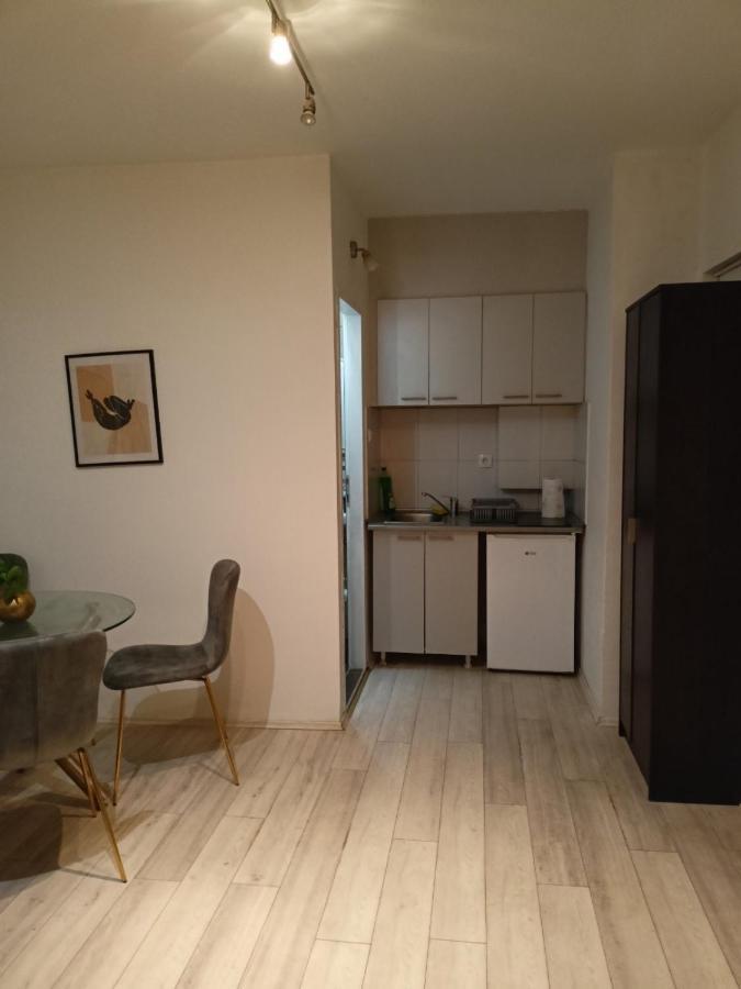 Dusica Apartmani Jagodina Buitenkant foto