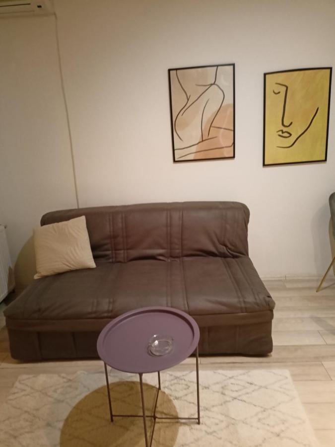 Dusica Apartmani Jagodina Buitenkant foto