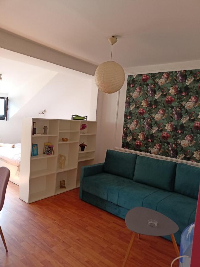 Dusica Apartmani Jagodina Buitenkant foto