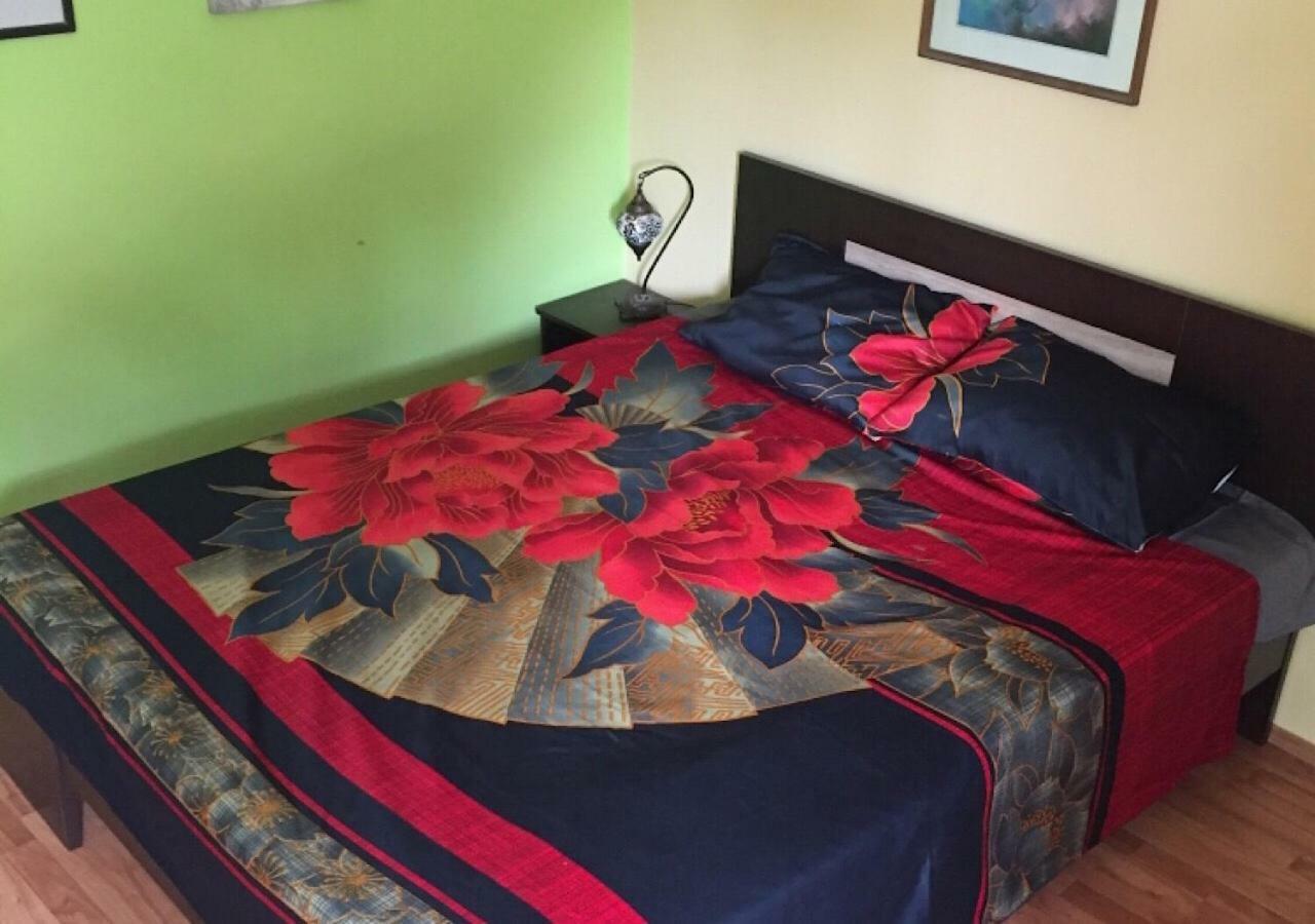 Dusica Apartmani Jagodina Buitenkant foto
