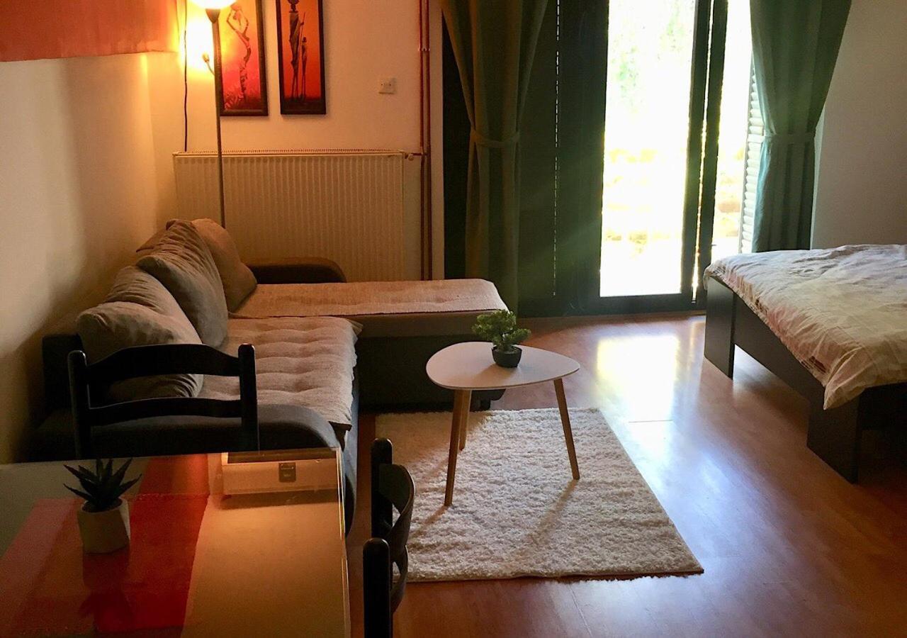Dusica Apartmani Jagodina Buitenkant foto